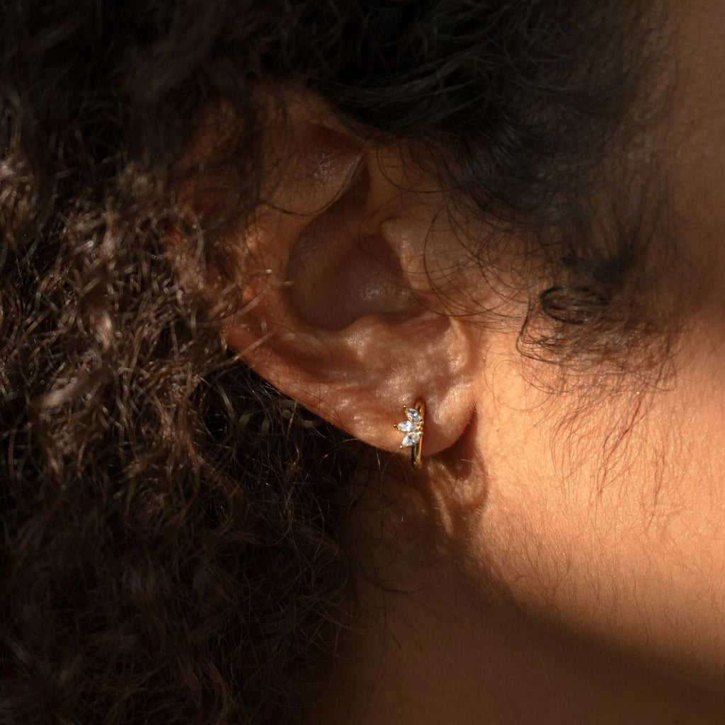 Horseshoe-shaped zircon earrings