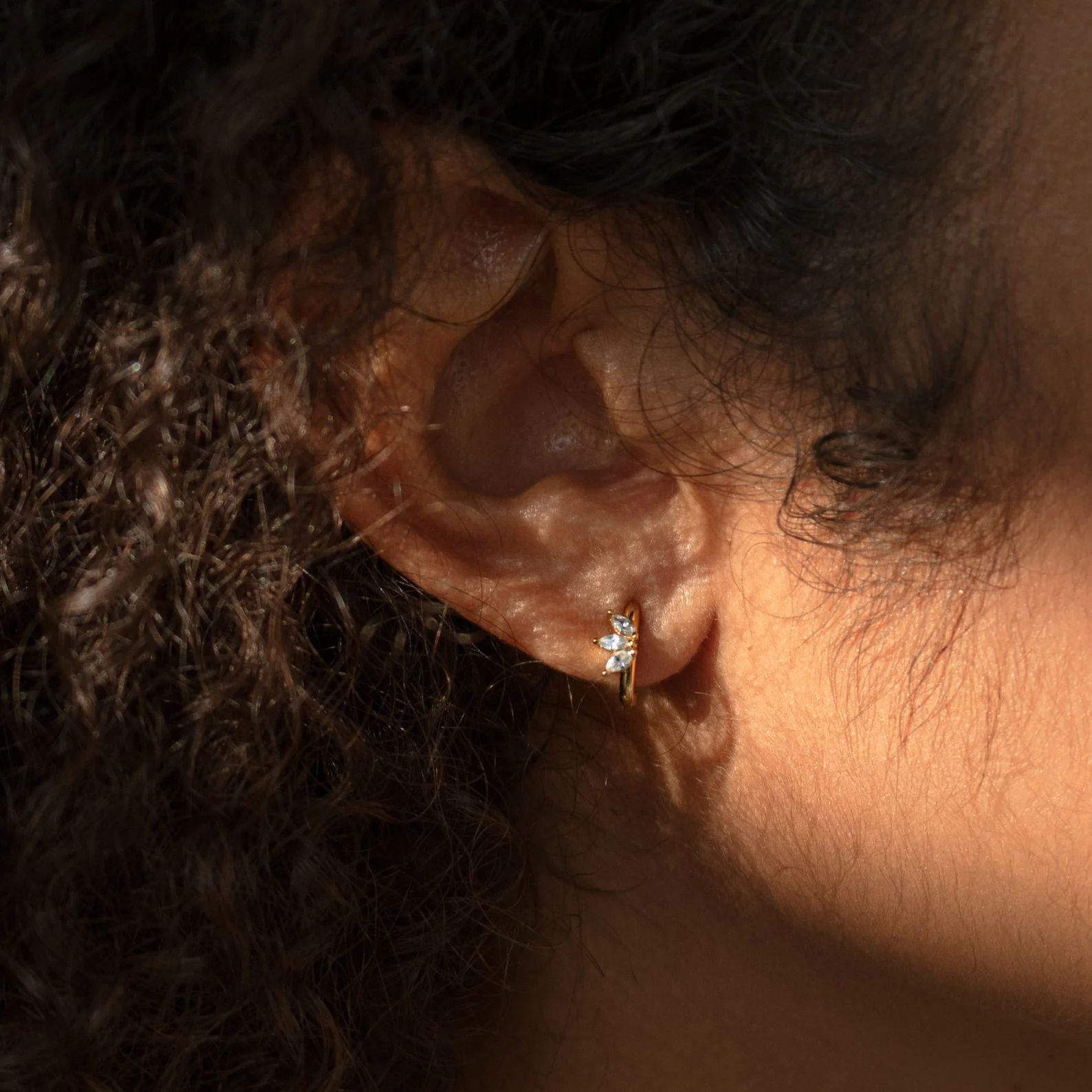 Horseshoe-shaped zircon earrings