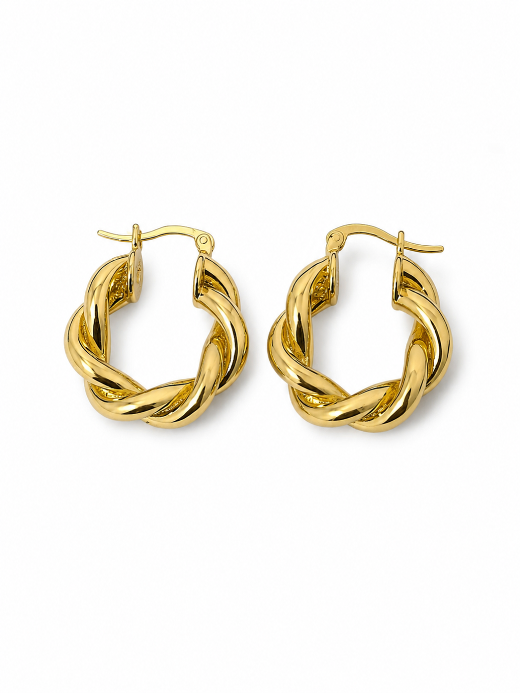 Donia Circular Hoop Earring