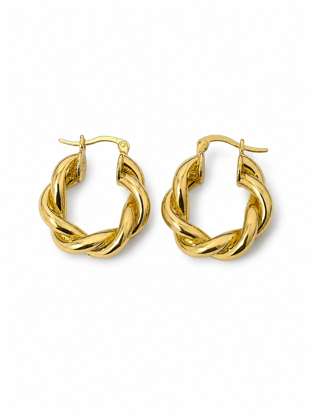 Donia Circular Hoop Earring