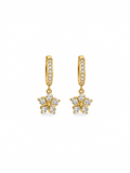 Star Earring Drop Earrings